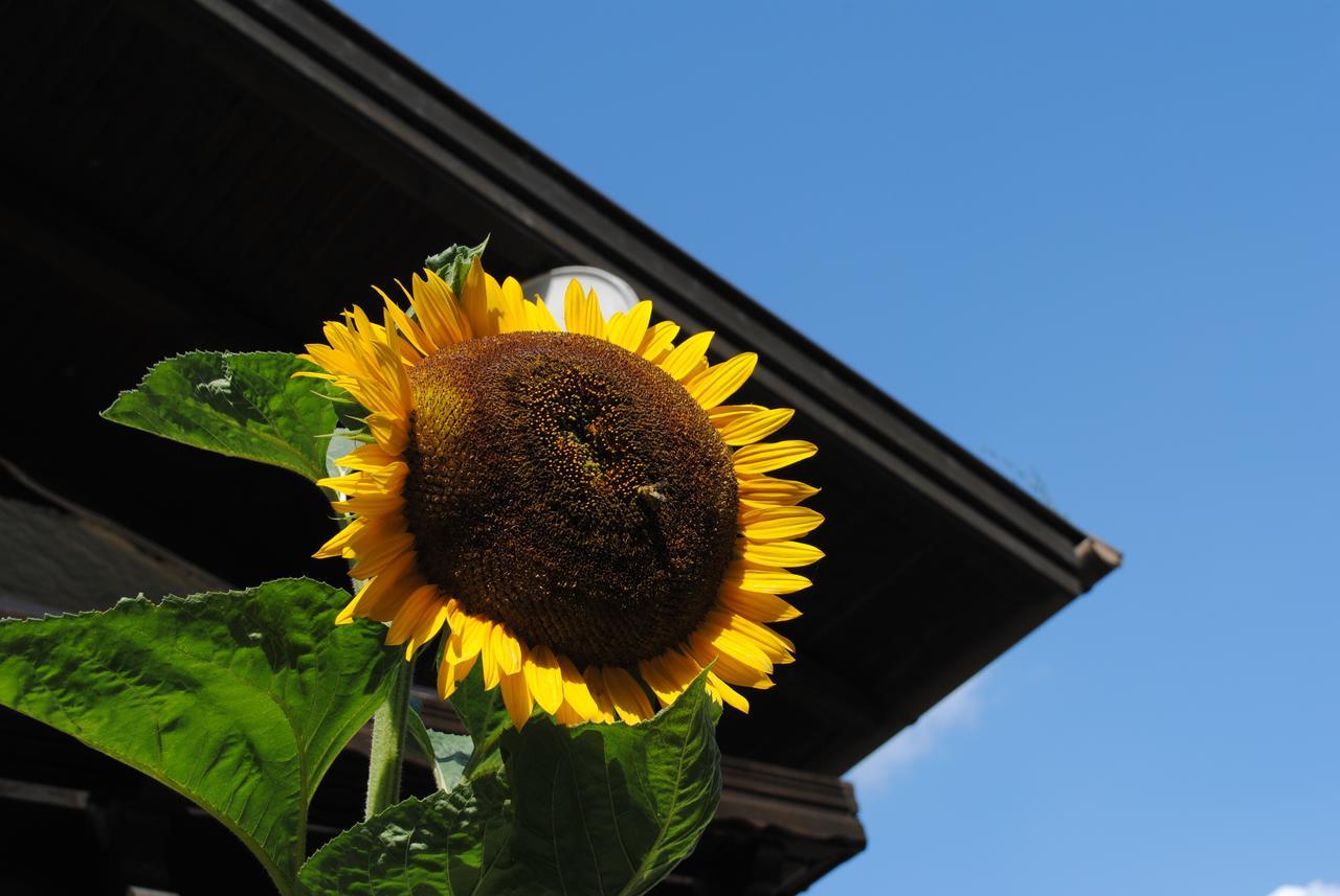 Naturhaus Andrea Grossarl Exterior foto